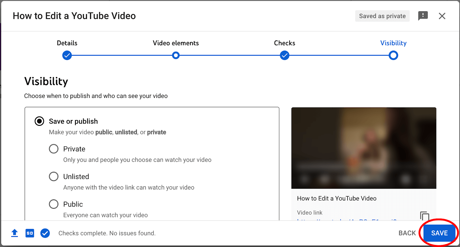 Visibility page for privacy settings of a YouTube video.