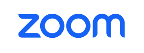 zoom video call recording software